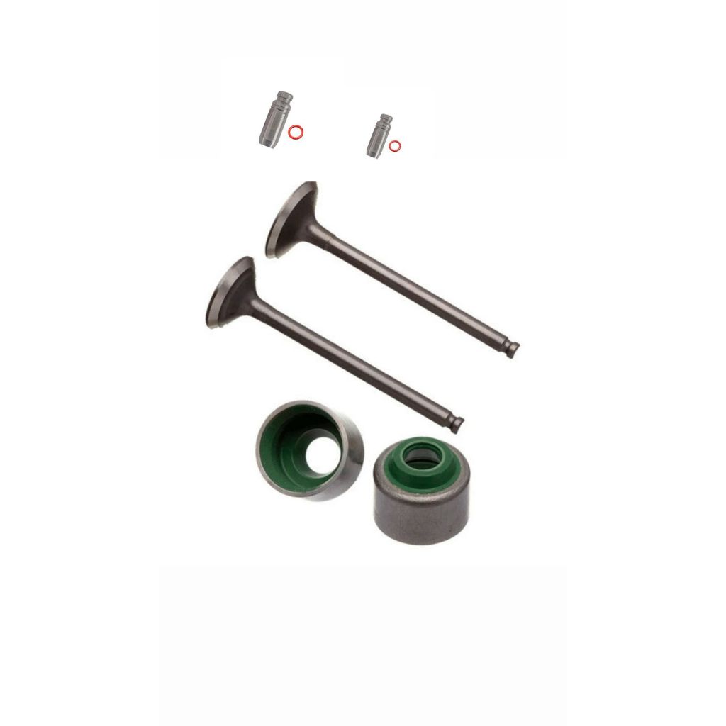 Valvula Admissão E Escape +Retentores + Guia C/oring Crypton 100 105