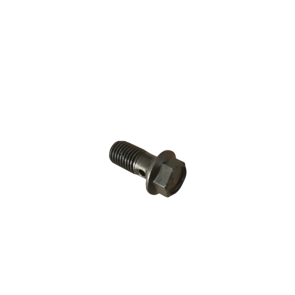 PARAFUSO DE UNIÃO FLEXIVEL DE FREIO YBR125 XTZ125 FACTOR125 M10