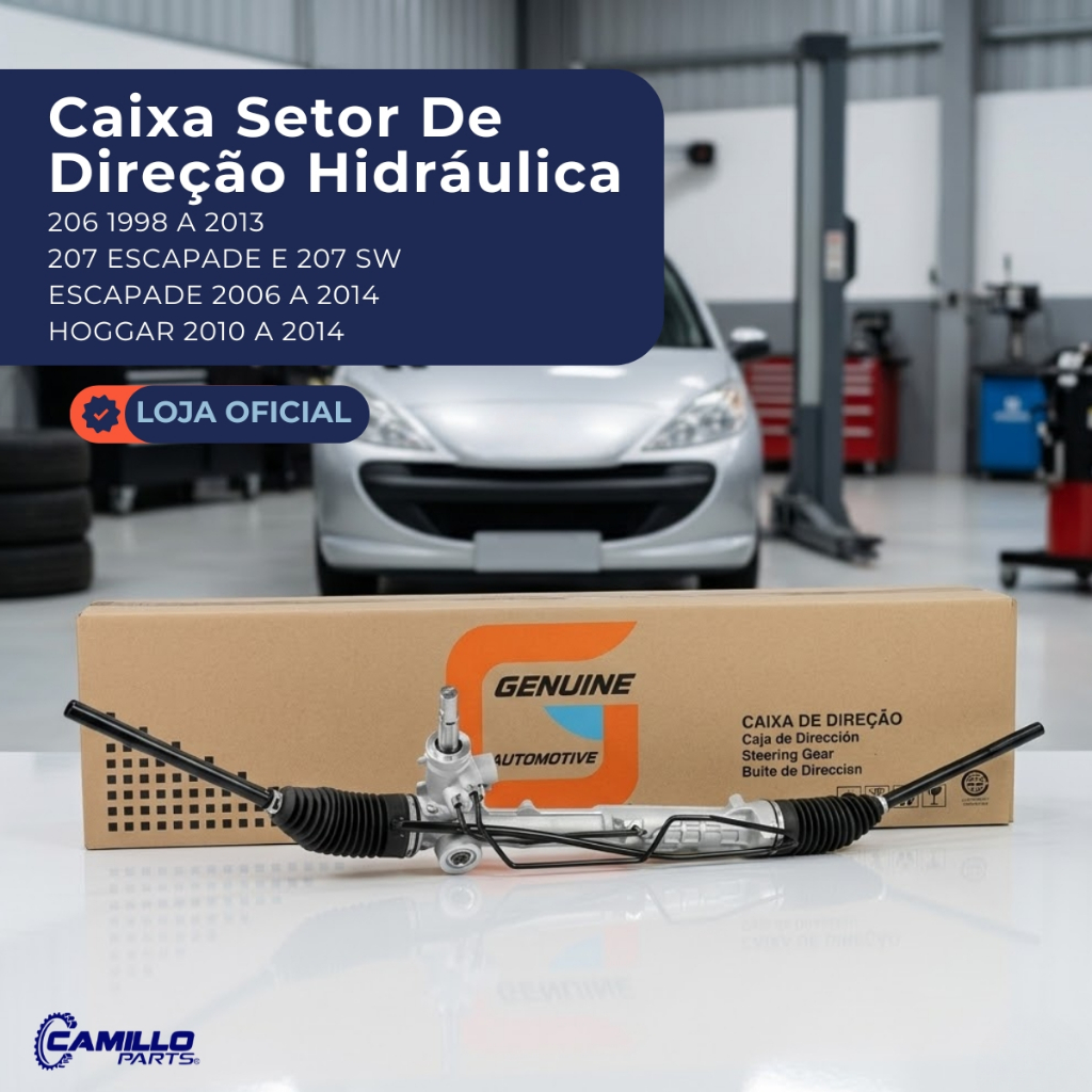 Caixa Direção Hidráulica Peugeot 206 207 Escapade Hoggar 1998 a 2016 Genuine Automotive