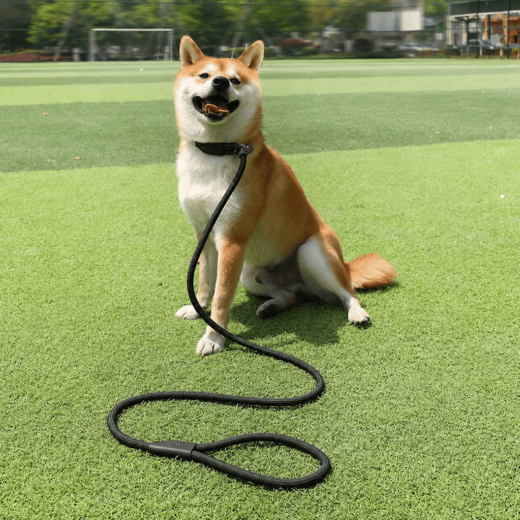 Coleira Cachorro Guia Unificada Adestramento de Cães Anti Puxão Cães Pequenos, médios e Grandes