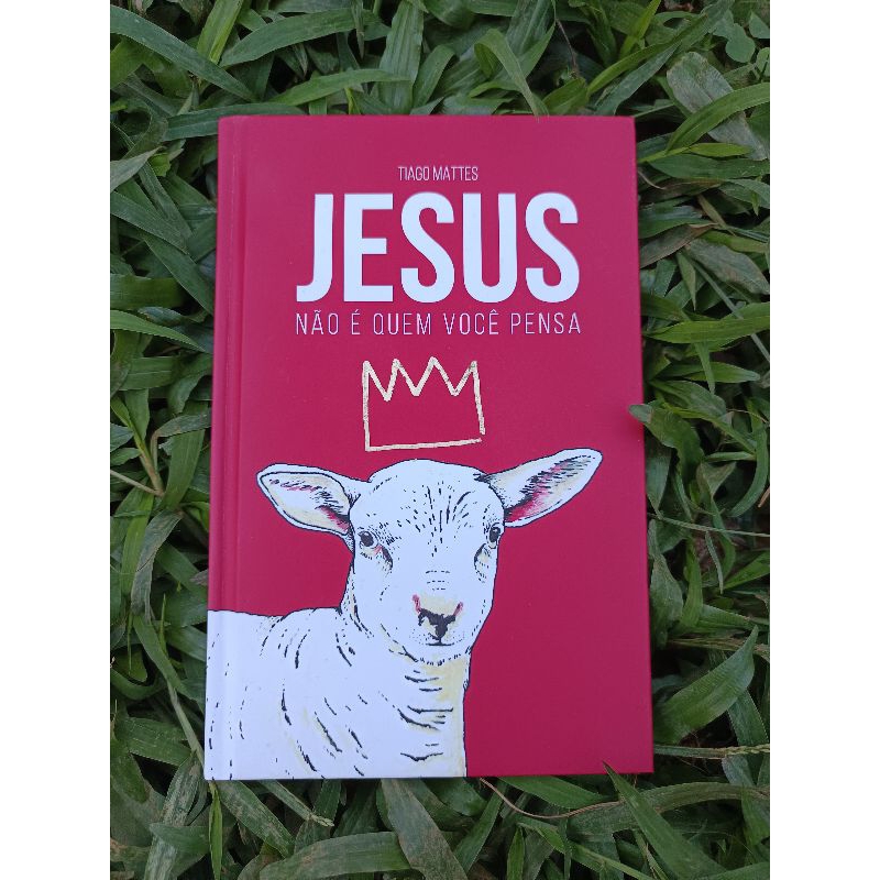 Livro Jesus Não é Quem Você Pensa - Tiago Mattes