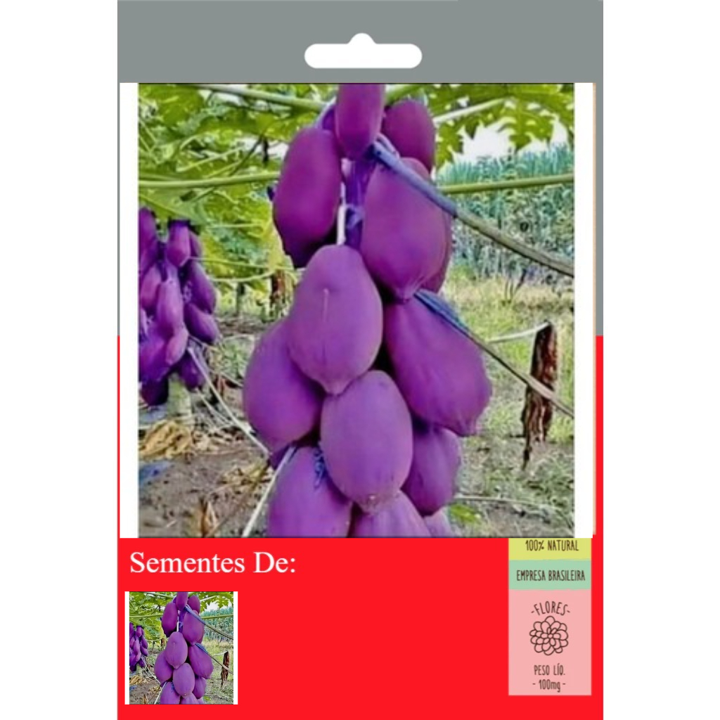 Mamão Violet Tailandês Exótico 10 Sementes Premium Germinação