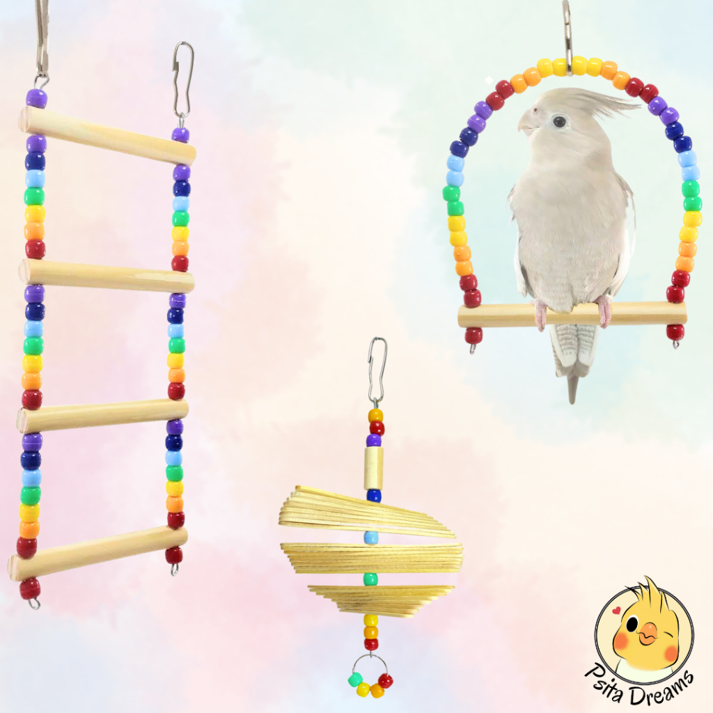 Kit com 3 a 5 Brinquedos Arco-Íris, calopsita, agapornis, periquito, aves, acessórios para gaiola, poleiro, balanço