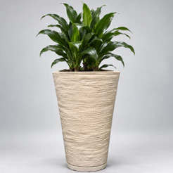 Vaso para Planta Decorativo Cone Redondo Escovado N°2 Luxo Moderno com Prato