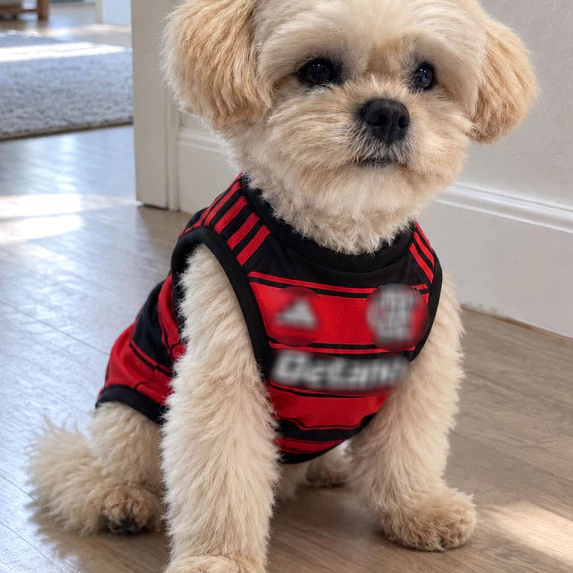Roupa Pet Vermelho e Preta para Cachorro Pequeno e Grande Porte Camiseta Premium