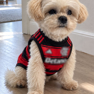 Roupa Pet Vermelho e Preta para Cachorro Pequeno e Grande Porte Camiseta Premium