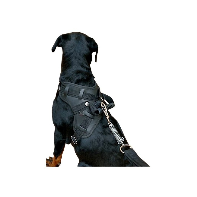 OFERTA ! Peitoral Coleira para Cachorro em couro sintético com alça + Guia com amortecedor Pet Pitbull Pastor Rottweiler