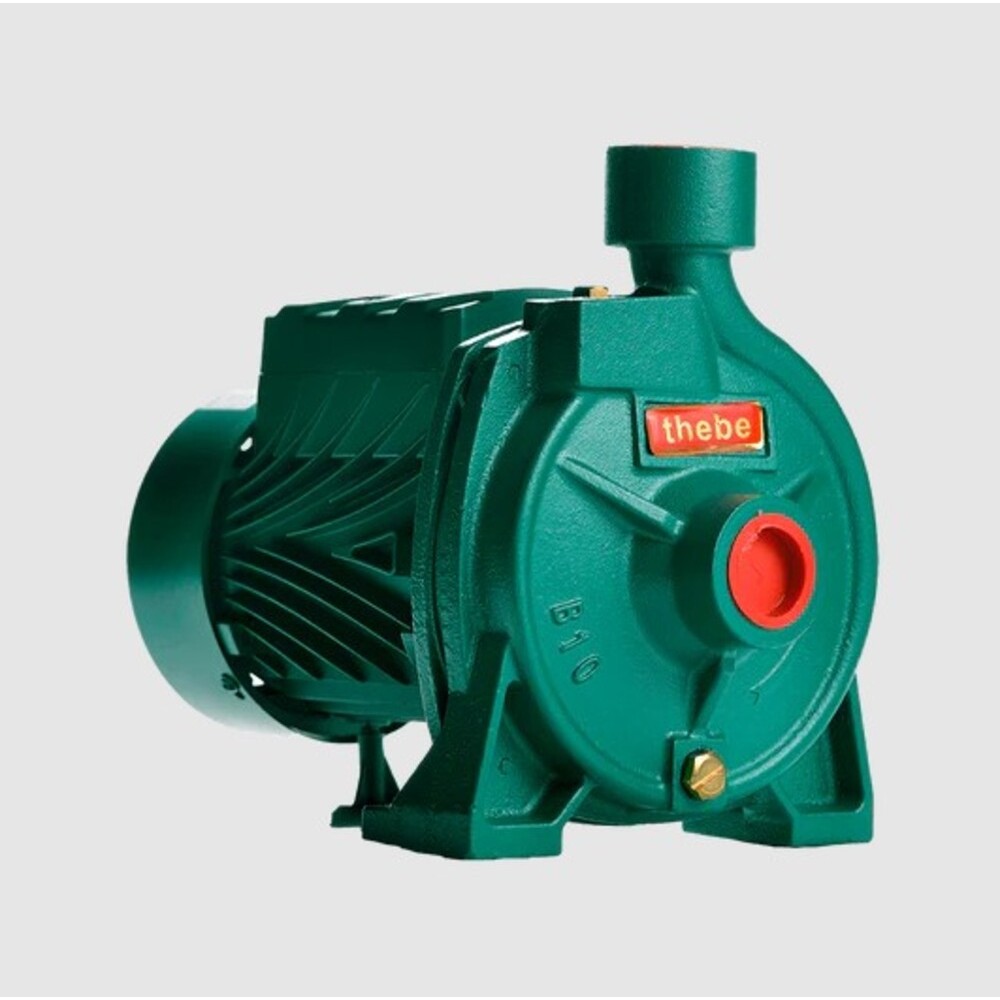 BOMBA CENTRÍFUGA B-10 1/2 CV MONOFÁSICA IP44 127/220V SOLUÇÃO COMPACTA USO DOMÉSTICO E INDUSTRIAL 117.01.510024 - THEBE
