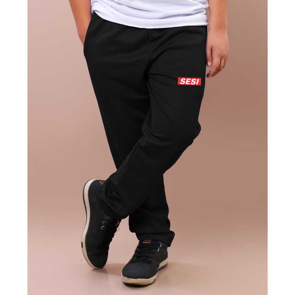 Calça de Moletom Sesi Infantil  Bordada Frio Flanelado Ajustavel Elastico Cintura Inverno Quentinho 6 ao 16 punho