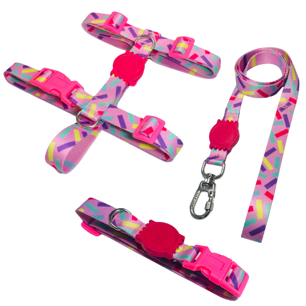 Kit Passeio Peitoral H Guia e Coleira Para Cachorros Cães Pets Confete