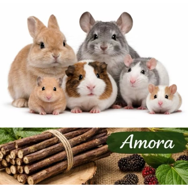 Kit Premium Amora Natural para Roedores e Aves + Petiscos Selecionados