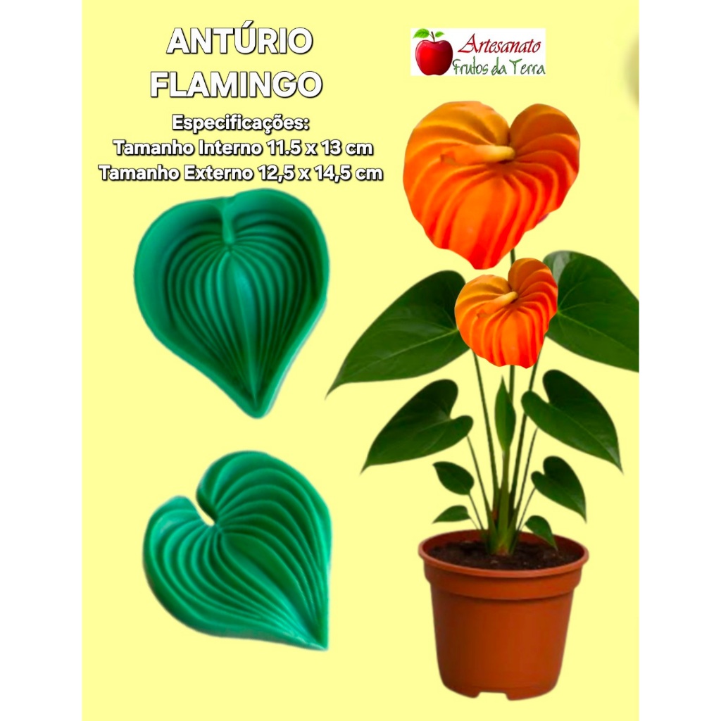 FRISADOR ANTURIO FLAMINGO