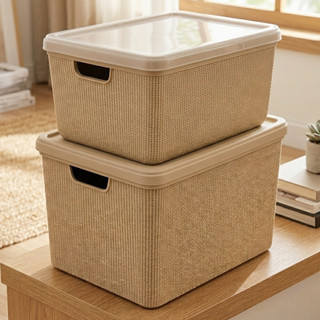 Kit 2 Caixas Organizadoras com Tampa 22 Litros 15 Litros Multiuso em Plástico Jaguar