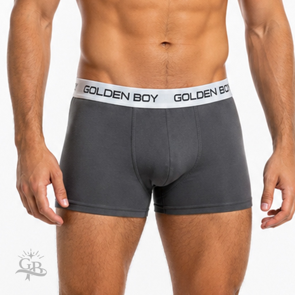 Cueca Boxer Masculina Microfibra Forro 100% Algodão Lisas e Estampadas Confortável Dia a Dia