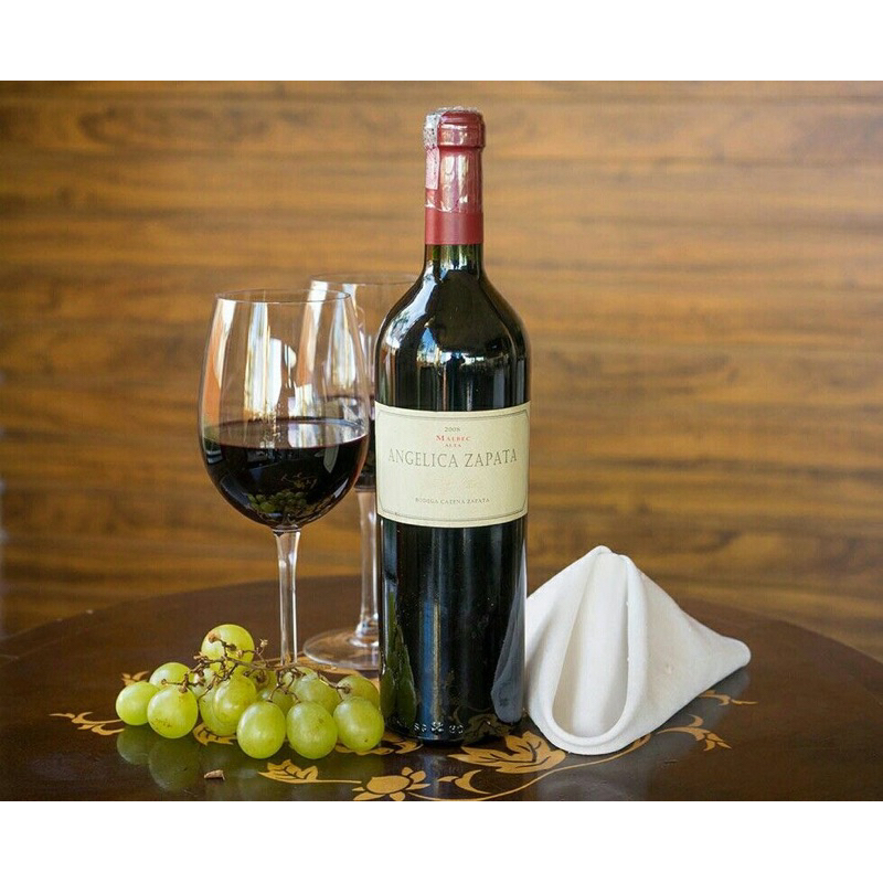 Vinho Argentino Tinto Angélica Zapata Malbec 750ml