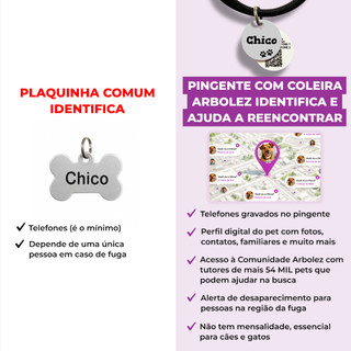 Placa de Identificação Pet Cachorro Gato Com QR Code e Coleira Personalizada