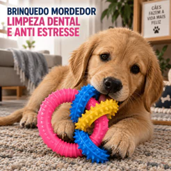 Brinquedo Mordedor Dental para Cachorro Filhote e Pequeno Porte
