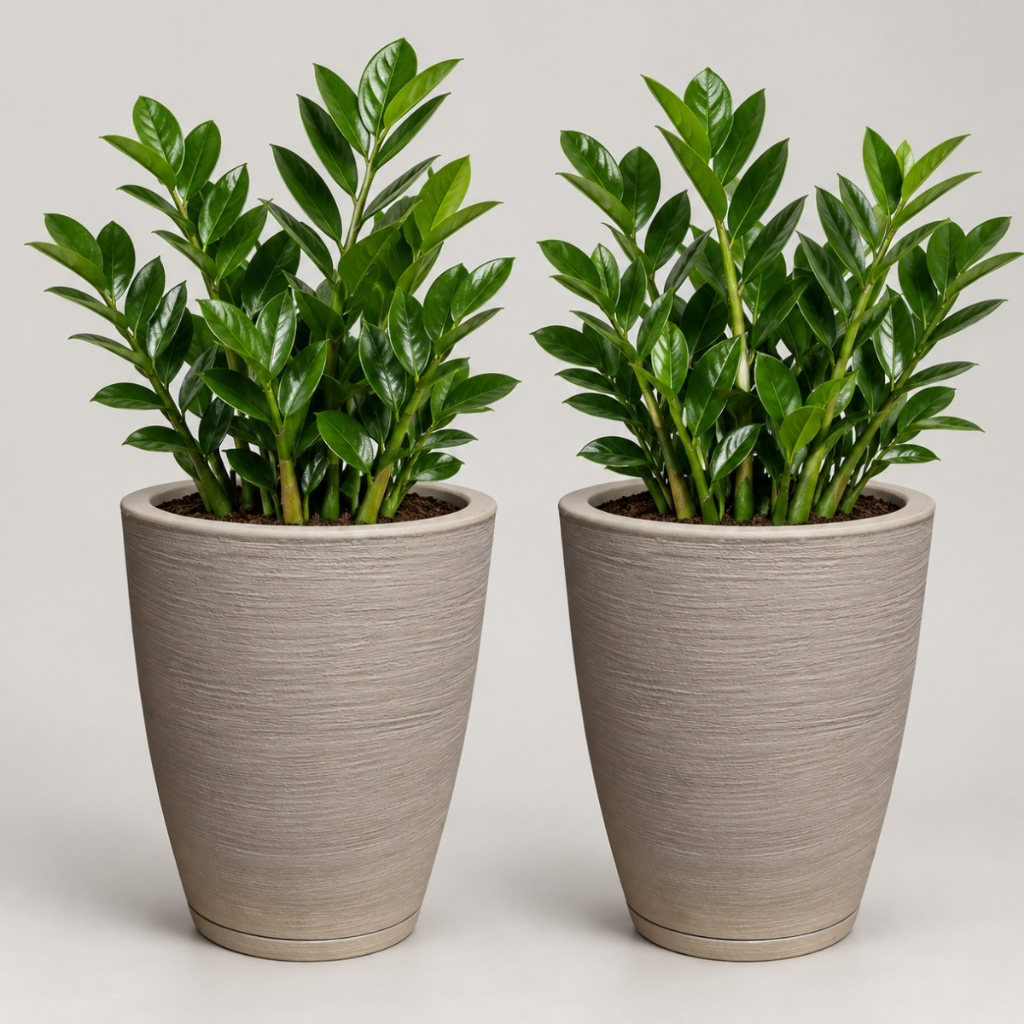 Kit 2 Vasos para Plantas Decorativo em Polietileno Redondo Escovado com Prato Coletor N2