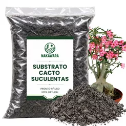 Substrato Para Rosa do Deserto Cactos e Suculentas Vasos Jardim Plantio Replantio Cultivo Plantas