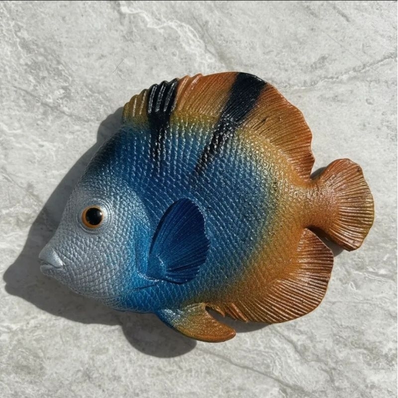 Enfeite de Resina Decoração Para Pendurar em Parede Peixe Anjo Face Azul