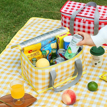 Cesta Piquenique Portátil Marmita Bolsa Térmica Praia Camping Retrátil
