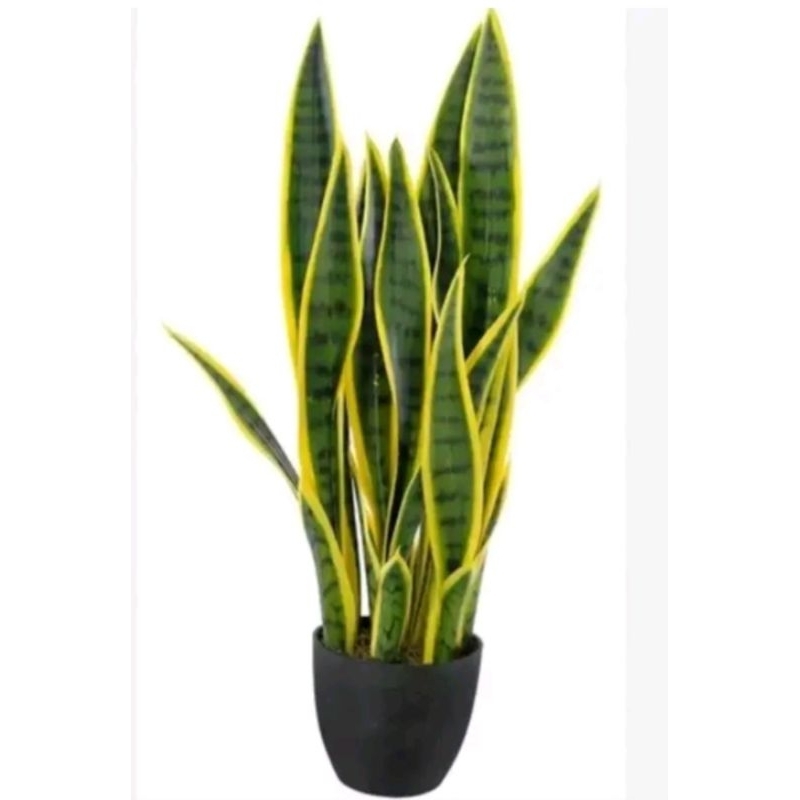 Espada São Jorge Natural para Decoraçãoe proteção