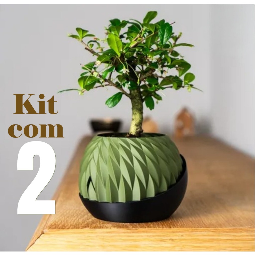 Kit 2 Vasos Autoirrigável Rega Sozinho Não precisa molhar todo dia! Chega de planta sem água!