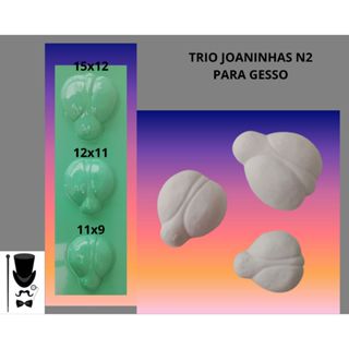 Molde Forma para Artesanato de Gesso Trio de Joaninhas N2 em Oferta na Shopee