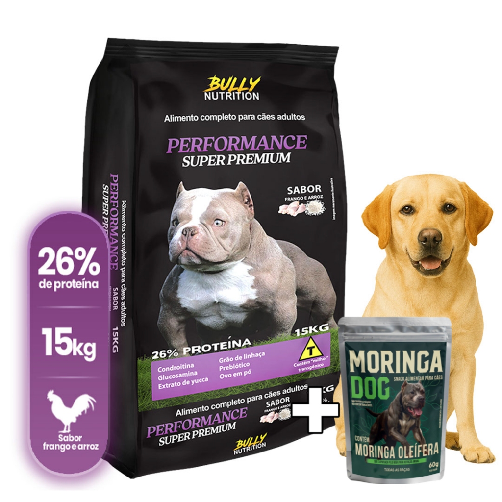 Ração Cães Labrador Performance Super Premium 15Kg + Ganhe Moringa Dog 60g | Força e Resistencia