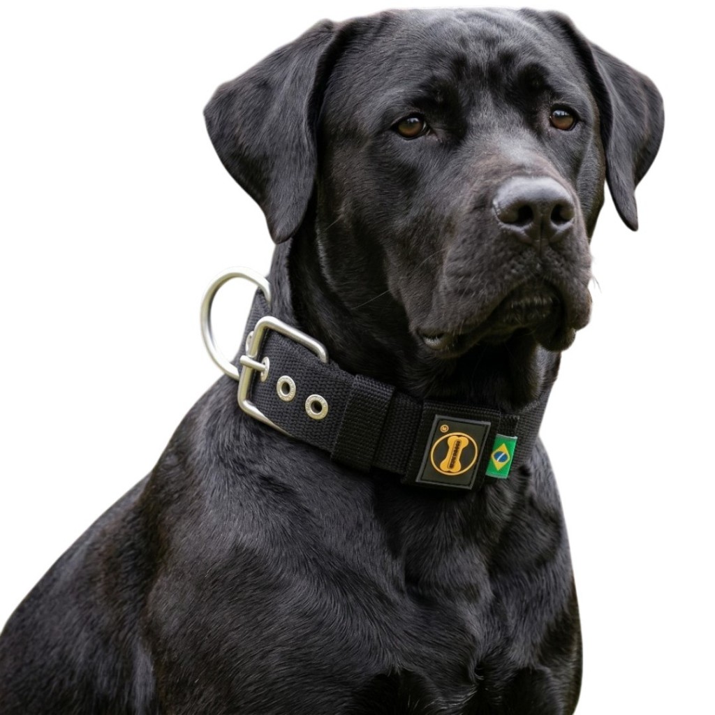 Coleira Cachorro Preto Labrador Retriever Amorosso Colar Cão Pitbull Dobermann Dalmata Gigante