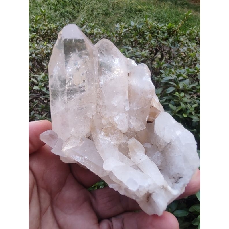 💎 Cristal Branco Príncipe Lemuriano Natural Drusa Cluster Quartzo Raro 348g Coleção 💎