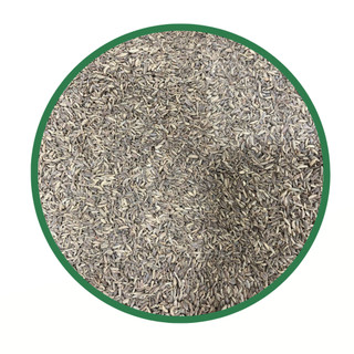 Cominho Grão 1Kg