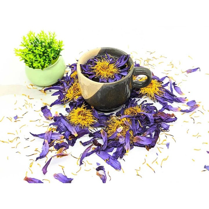 Imagem Flor de Lótus Azul - Nymphaea caerulea - Chá Natural Calmante, sonhos lúcidos