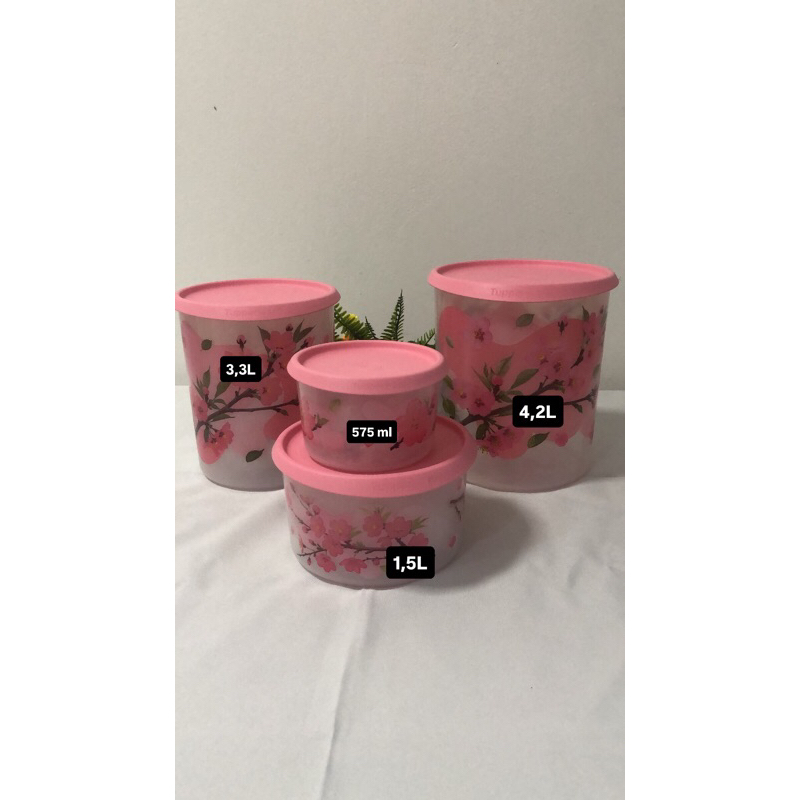 Kit Tupperware Instantânea Mágica Desabrochar 4 peças