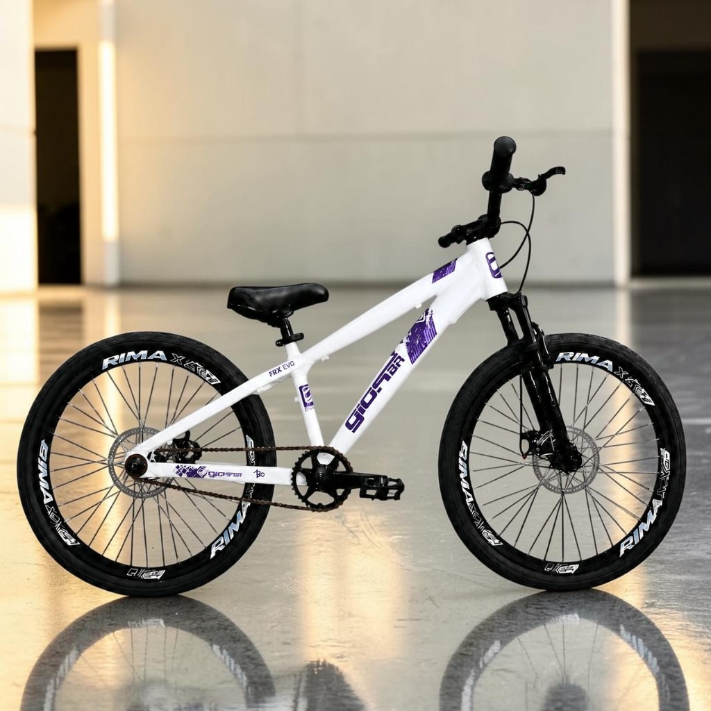 Bicicleta Aro 26 GIOS FRX-EVO Single Freeride Downhill Aro Rimaxx DH Freio a Disco Pneu Flame Balão Bike Sem Marcha Grau