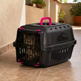 Caixa Transporte Pet Cachorros Cães Gatos Coelhos N1 N2 N3