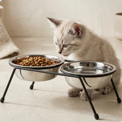 Comedouro Duplo Bebedouro Elevado Fixo Cães Cachorro Filhotes Gatos 300ML