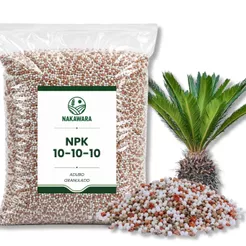 Adubo NPK 10-10-10 Indicado Para Cica / Cycas Revoluta Fertilizante Granulado Vasos Jardim Plantas