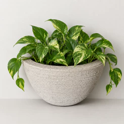 Vaso Decorativo Parede Polietileno Tamanho P Medidas 12cm X 20cm X 10cm
