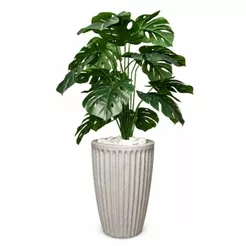 Costela De Adao Artifical com Vaso Polietileno Completo Casa