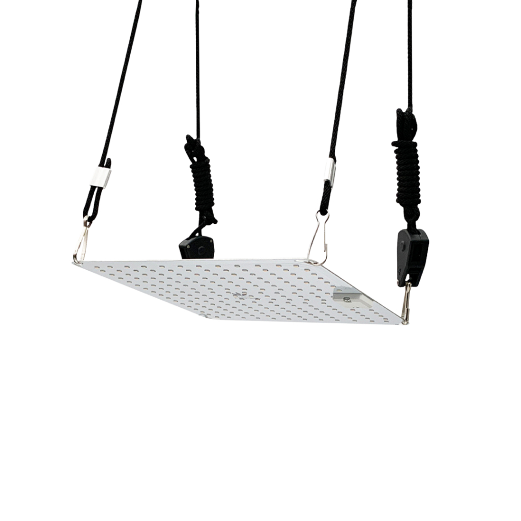 Quantum Board 65w Lâmpada Painel LED Chips Lm283b Samsung Grow Cultivo Indoor Iluminação Qb