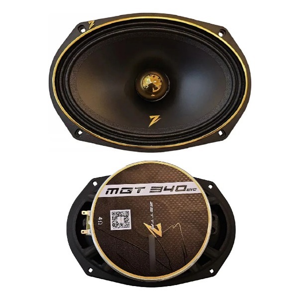Par De Alto Falante Zetta Audio 6x9 340rms 4ohms Com Aro Dourado
