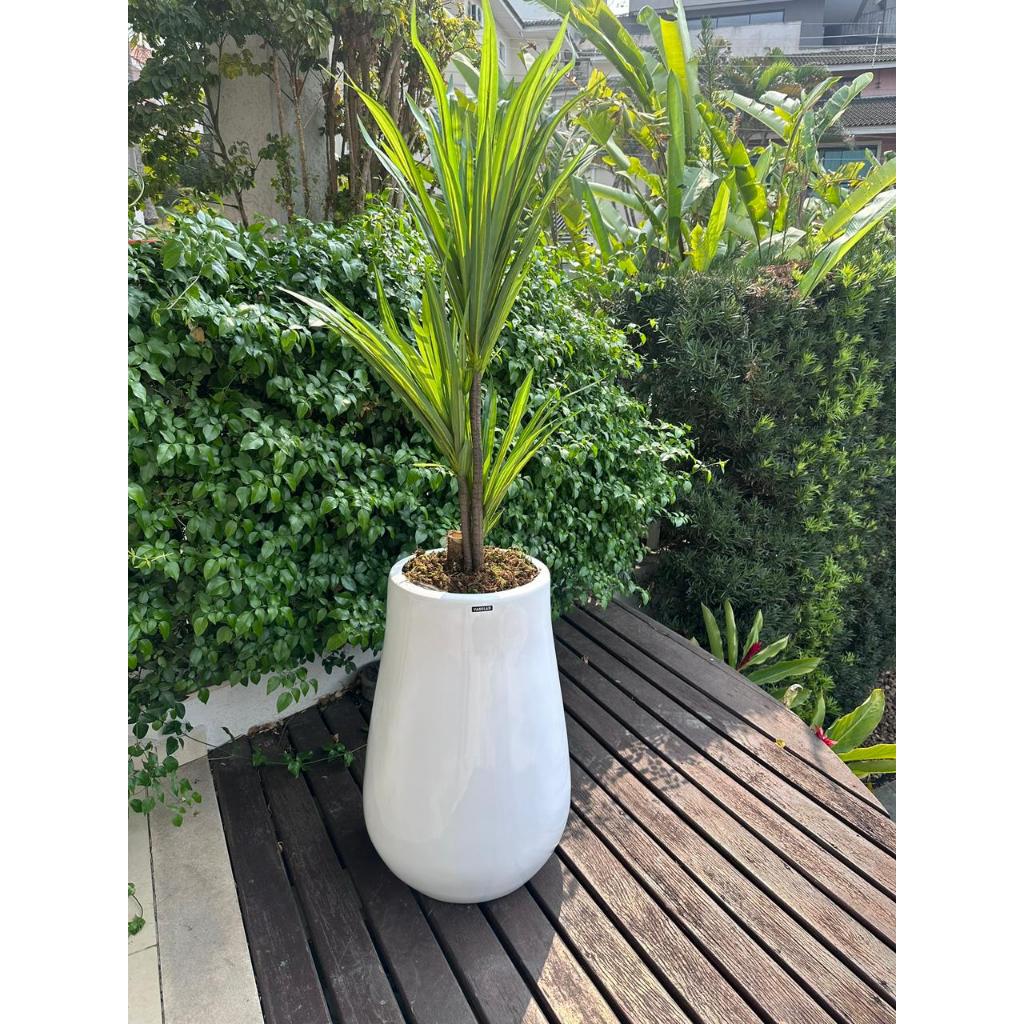 Vaso Vietnamita Para plantas Decorativo Fibra de Vidro 65cm