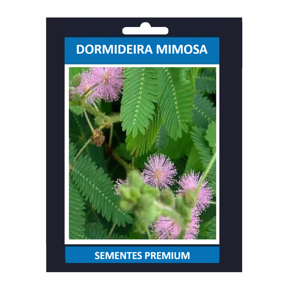 100 Semente Dormideira Mimosa Pudica Sensitiva Envio Rapido ll l