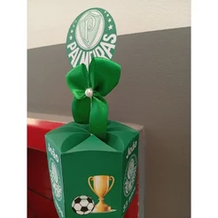 Pegue e Monte Caixa Sextavada do Palmeiras Centro de Mesa Lembrancinha Festa Infantil