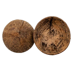 Coité De Coco Sem Base Umbanda - Candomblé Cuia De Baiano