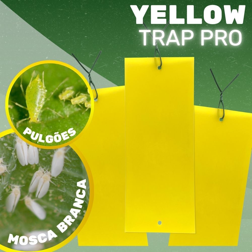 Placa Amarela de Monitoramento Para Insetos Cigarrinha  Yellow Trap Garden Pró Coleagro
