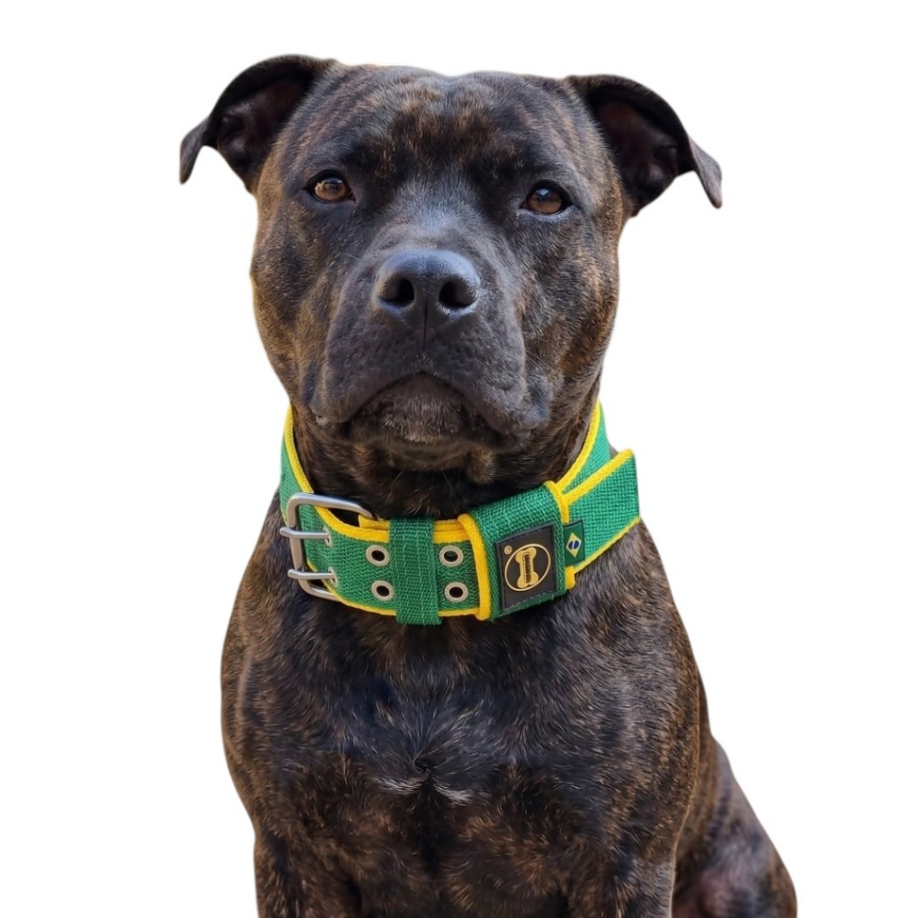 Coleira Copa 2026 Brasil Com Alça Cachorro Pitbull Pit Monster Rottweiler Dogue Alemão Pastor Cães