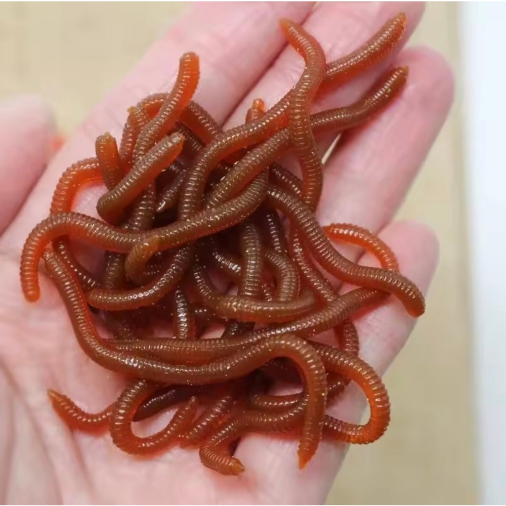 Isca Minhoca de Silicone Realista 4cm para Pesca