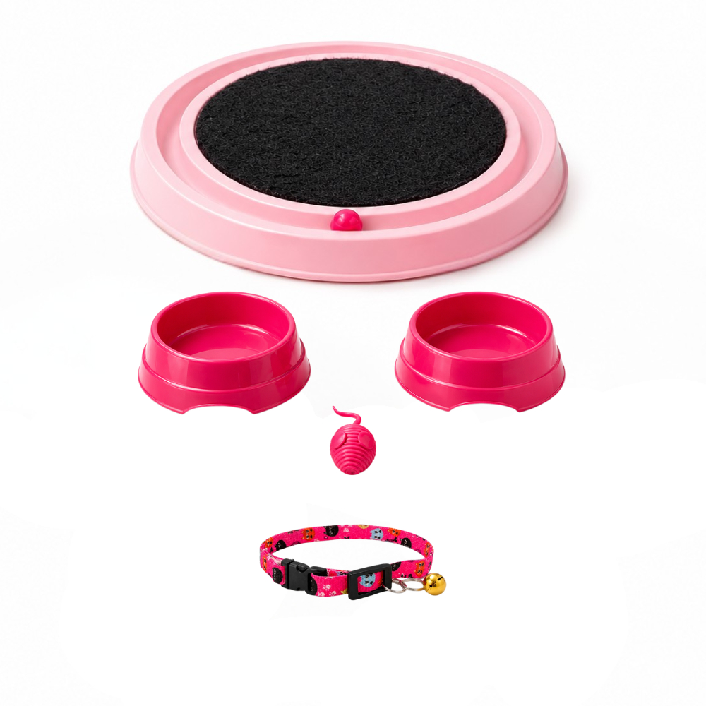 Kit Gato Completo Arranhador Comedouro Bebedouro Brinquedos e Coleira